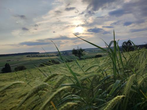 Kzwei in Ruppertshofen, Deutschland
