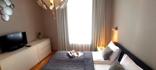 Old Town 2 Bedroom Apartment near Dome Square & Scenic Waterfront, Riga (fotografie 8)