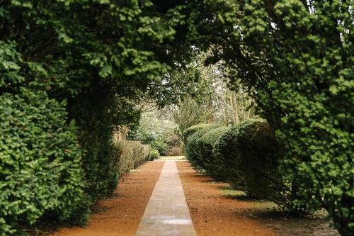 Macdonald Ansty Hall - image 14