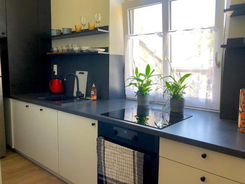 YOONIK APARTMENTS Room Type - Deluxe Double Studio