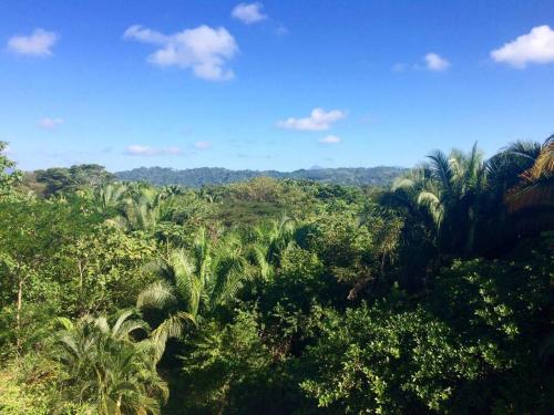 CASA TROPICAL-3 bdrm w private pool Close to beach CASA TROPICAL-3 bdrm w private pool Close to beach