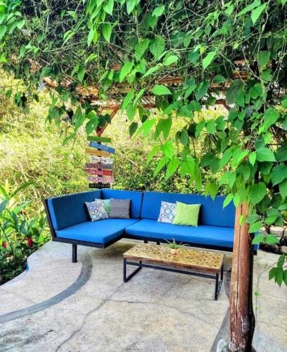 CASA TROPICAL-3 bdrm w private pool Close to beach CASA TROPICAL-3 bdrm w private pool Close to beach