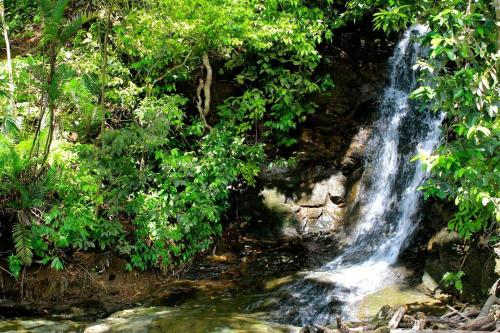 CASA TROPICAL-3 bdrm w private pool Close to beach CASA TROPICAL-3 bdrm w private pool Close to beach