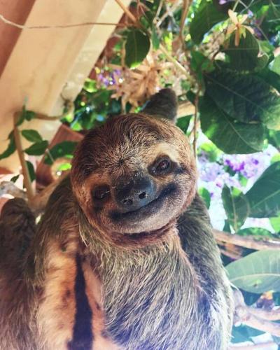 CASA TROPICAL-3 bdrm w private pool Close to beach CASA TROPICAL-3 bdrm w private pool Close to beach