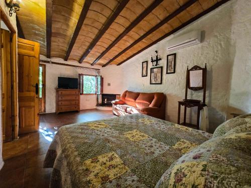Casas Rurales La Tejeruela in Salobre
