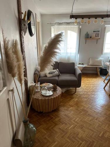 Appartement Carmes, hypercentre, Toulouse (fotografie 3)