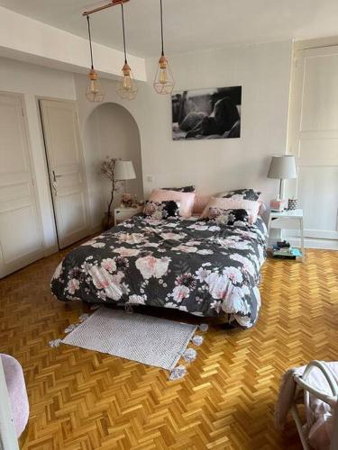 Appartement Carmes, hypercentre, Toulouse (fotografie 5)