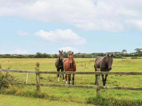 A szálláshely kívülről, The Owl's Hoot in Gowran