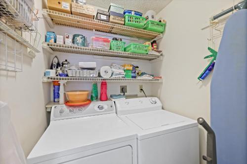 South Seas East A-607 - image 14