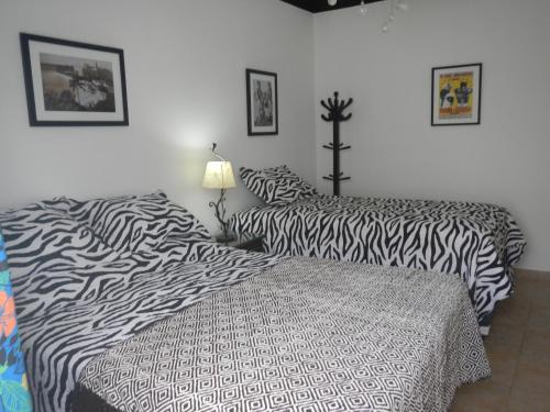 Blue Shark Apartments