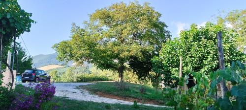 Dolcedorme del Pollino