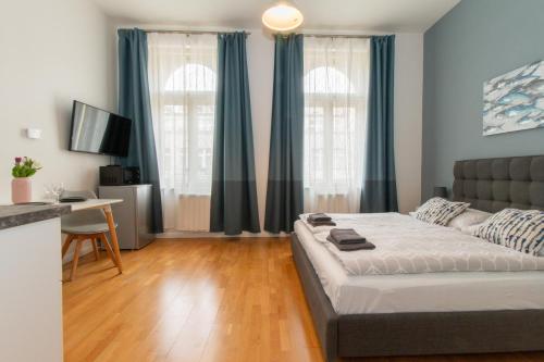 Studio Apartment image 10