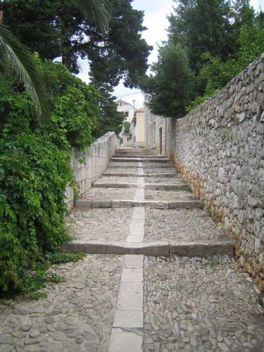 Guest House Sucuraj - image 12