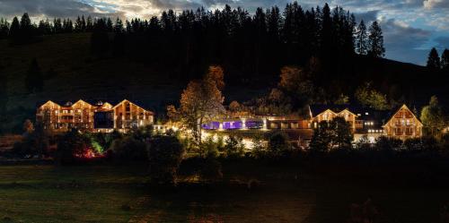 Black Forest Lodge in Feldberg ( Baden Wuerttemberg )