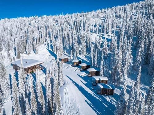 Constella Queen Cabin, Rossland