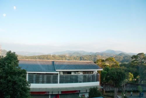 Sanyi Happiness Bed and Breakfasts - 주변 환경