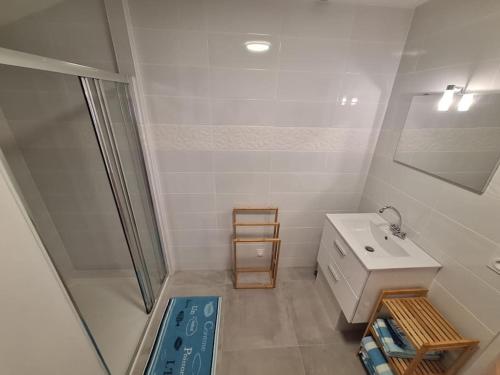 Shower, Appartement 65m2 Le Peage de Roussillon in Le Peage De Roussillon
