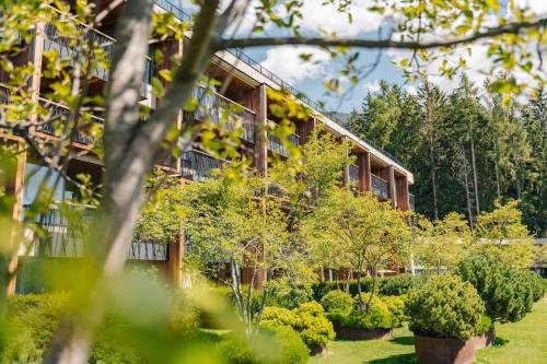 My Arbor - Plose Wellness Hotel