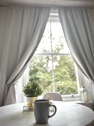 London Oval Apartment, Londýn (fotografie 6)