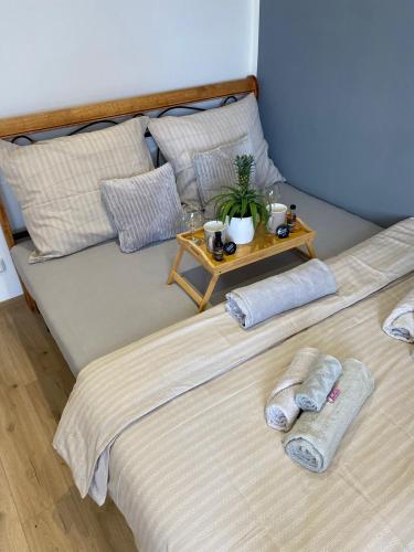 ZnojmoApartment in ซนอยโม