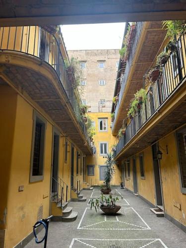 Domus Romano Campo de Fiori, Rome (photo 2)