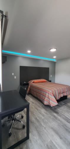 Villa Rosa Motel - image 10