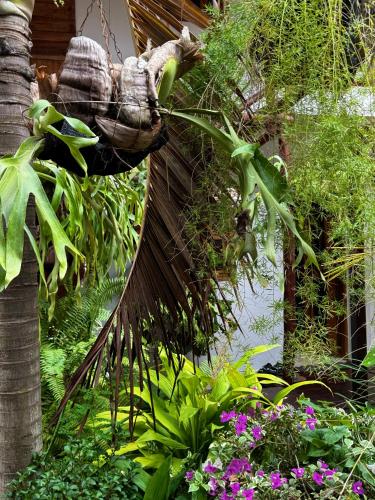 Hostal Nibuni Palomino