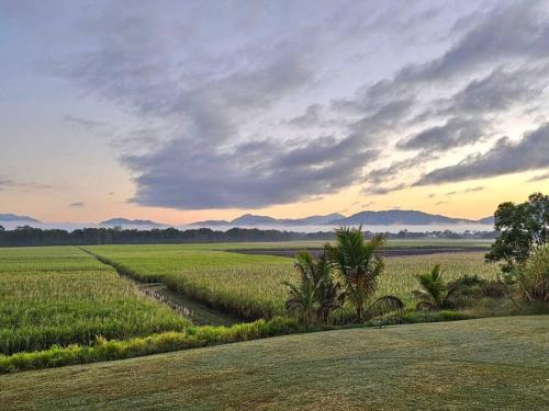 Pinnacolo Farm Stay in Finch Hatton