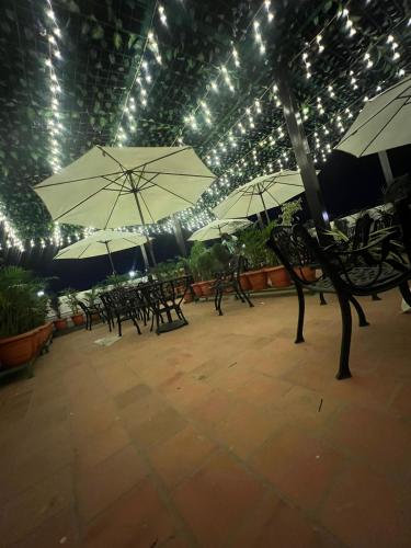 Zmark, Mysore (photo 5)