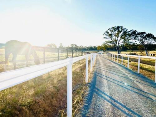 Trawalla Farm Stays - Entire House and Large Pool Bar - Perfect for Groups