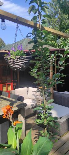 "Tempat Senang" chalet on the beautiful Veluwe with airco sauna bbq jacuzzi beamer and dog "Tempat Senang" chalet on the beautiful Veluwe with airco sauna bbq jacuzzi beamer and dog