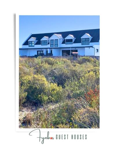 Fynbos Guest Houses in Hopefield