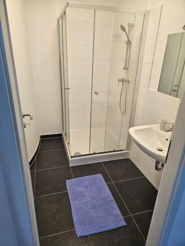 Roof-Top Apartment 25, Vienne (photo 8)