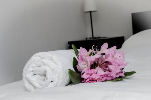 Hotel Širák - image 2