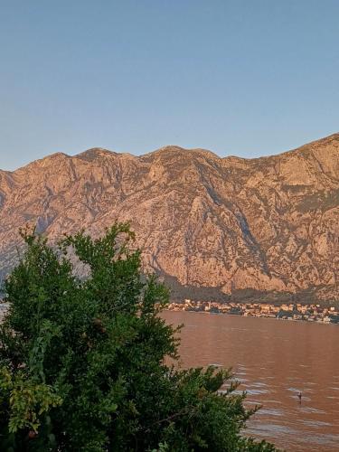 Apartment Tri Palme - image 8