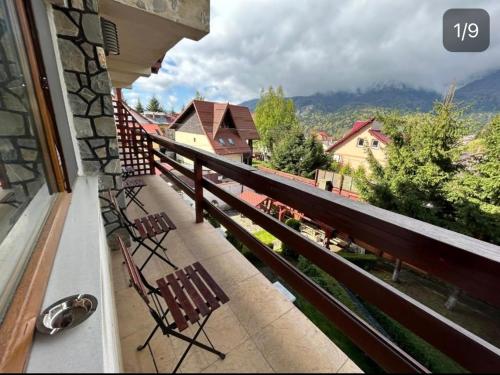 Venus - Apartamente de închiriat (Venus - Apartamente de inchiriat) in Poiana Tapului