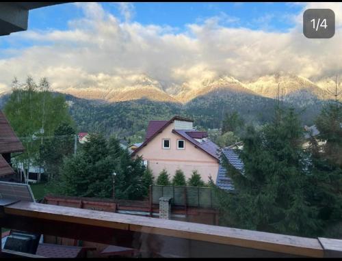 Venus - Apartamente de închiriat (Venus - Apartamente de inchiriat) in Poiana Tapului