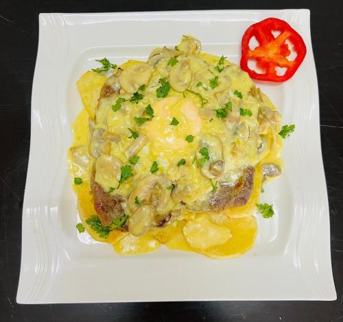 MATOLa HOUSe MATOLa HOUSe