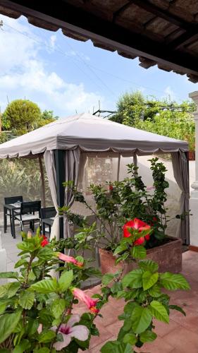 Terraza/balcón, Il Cigno B&B in Capri