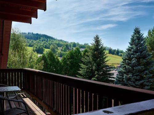 Apartment Horní Rokytnice-2 by Interhome (Apartment Horni Rokytnice-2 by Interhome) in 羅基尼茨納德傑茨羅