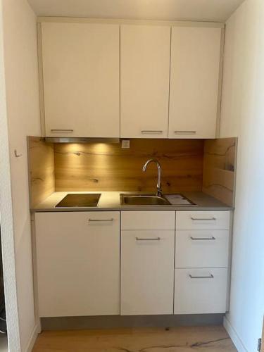 Konyha, Apartment im 4-Sterne Berghotel über Interlaken-Thunersee (Apartment im 4-Sterne Berghotel uber Interlaken-Thunersee) in Beatenberg