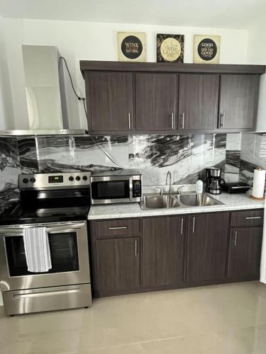 Villa Carmin II Apartment with private pool in Aguadilla