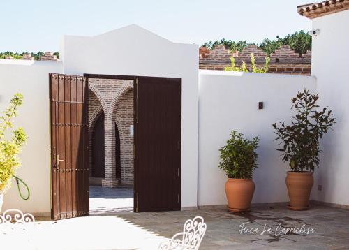 Finca Caprichosa by Aracena Rural Exp in 科爾泰拉索爾