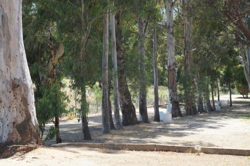 Camping International - image 12