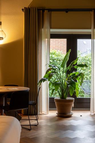 Hotel Abdij Dokkum in Dongeradeel