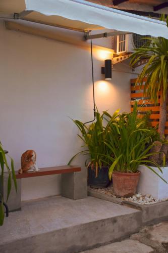 ทัศนียภาพภายนอกโรงแรม, คอสต้า เบด หัวหิน (Costa Bed Hua Hin) near สถานีขนส่งหัวหิน