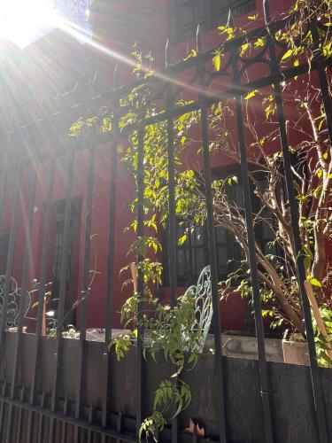 المنظر الخارجي, Hermosa casita con jardín Goldas Haus (Hermosa casita con jardin Goldas Haus) in Saavedra