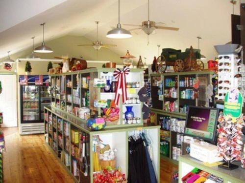 Fabulous family retreat !!! in Lackawaxen, USA