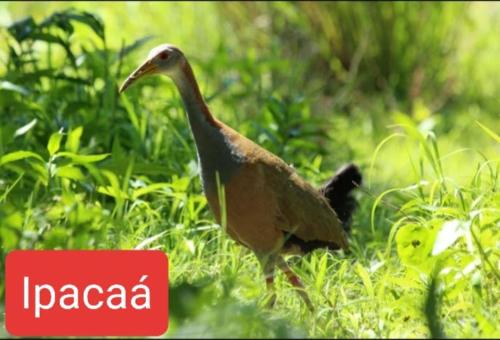 Cabaña Doña Teresa 4 Huéspedes