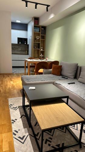Sara apartment, Skopje (photo 2)